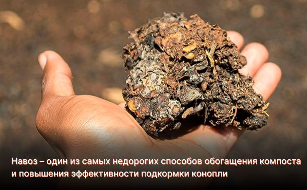 Навоз и органическое выращивание конопли Навоз и органическое выращивание конопли