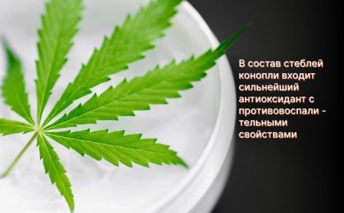 Стебли конопли как основа для косметических целей