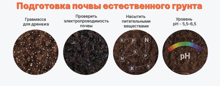 Neskolko-khitrostej-po-podgotovke-pochvy.jpg Neskolko-khitrostej-po-podgotovke-pochvy.jpg