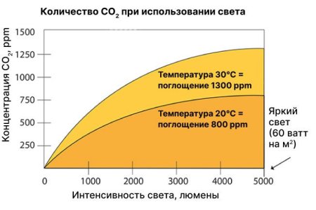 Сколько СО2 нужно конопле Сколько СО2 нужно конопле