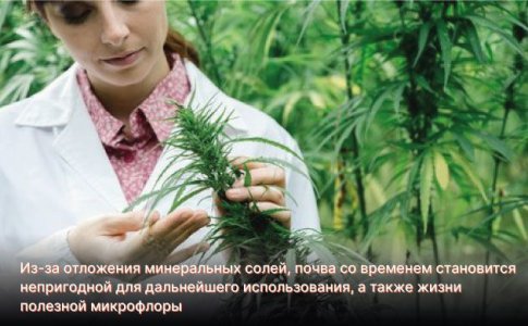 Минеральные удобрения для автоцветов Минеральные удобрения для автоцветов
