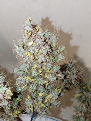 mir_20221015_160727.jpg
