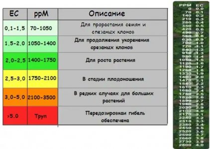 S21025-105003(1).jpg S21025-105003(1).jpg