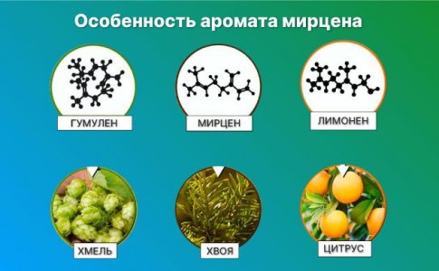 Свойства мирцена Свойства мирцена
