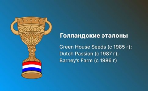 Голландские сидбанки Голландские сидбанки