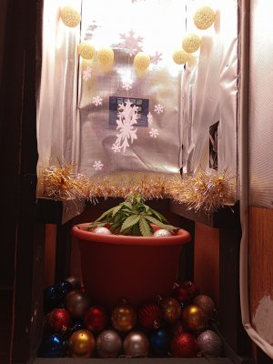 IMG20221211231323.jpg