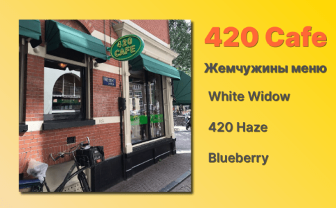 Кофешоп Амстердам 420 Cafe Кофешоп Амстердам 420 Cafe