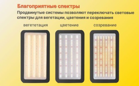 Благоприятные спектры света для конопли Благоприятные спектры света для конопли
