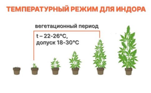 Температурный режим для автоцветов Температурный режим для автоцветов