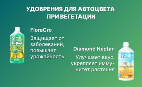 Удобрения для автоцвета в период вегетации Удобрения для автоцвета в период вегетации