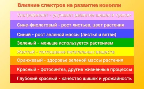 Спектральный состав света для автоцветов Спектральный состав света для автоцветов