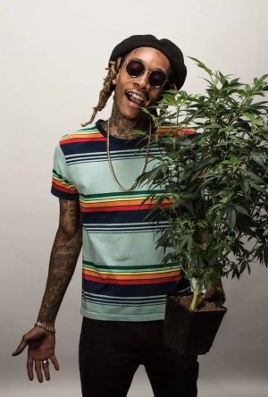 WIZ.jpg WIZ.jpg
