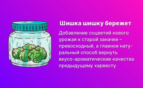 Долгосрочный период (недели) Долгосрочный период (недели)