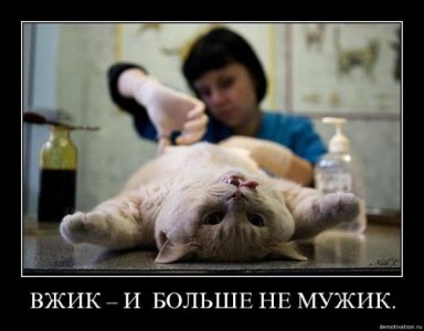 FMXwnjGd6aDB-8Lj8uizpWpw-3M-960.jpg