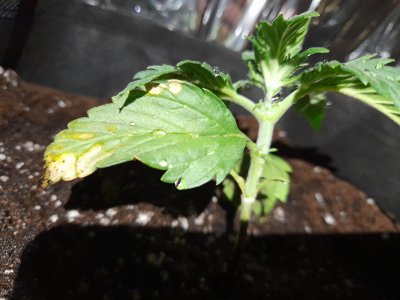 20230225_191049.jpg