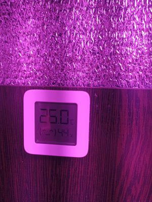 IMG_20230302_191213.jpg