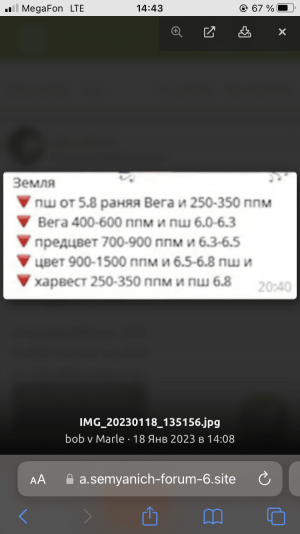 C6EA29FD-9055-4A8D-BC32-970F35E3AA04.png
