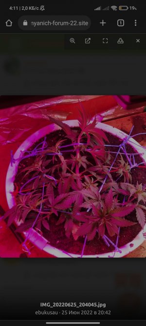 Screenshot_2023-04-14-04-11-08-376_com.android.chrome.jpg