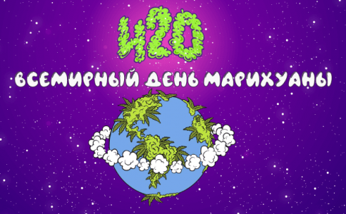 4202 (2).png 4202 (2).png