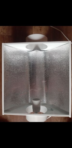 Screenshot_20230521-094310_Gallery.jpg