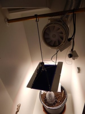 IMG_20230618_102641_049.JPG