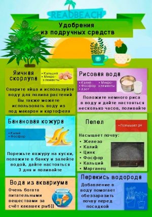 IMG_7966.jpeg