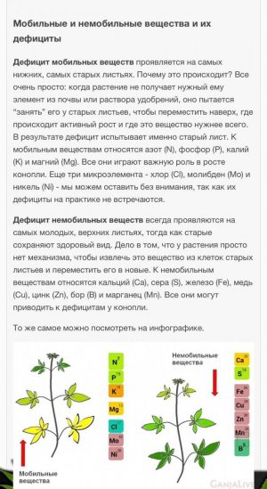 f2869baa-b1ea-4c4b-9890-de4f5108f5b0.jpeg