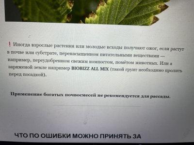 IMG_8109.jpeg
