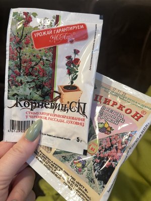 IMG_8455.jpeg