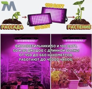D7CE91C8-EFEF-4790-BE3E-81010AE66D57.jpeg