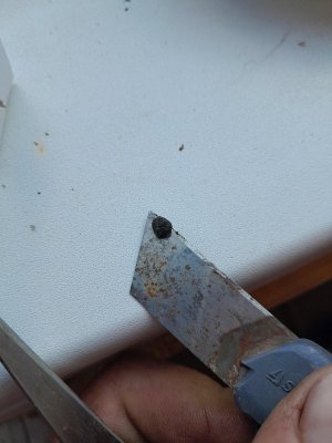 20230730_161359.jpg