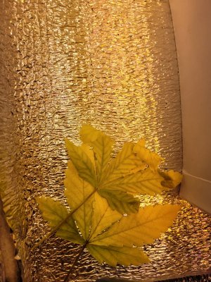 20230807_122106.jpg