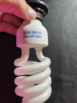 6D688807-CC4C-4CF5-B80F-951642975CC2.jpeg 6D688807-CC4C-4CF5-B80F-951642975CC2.jpeg