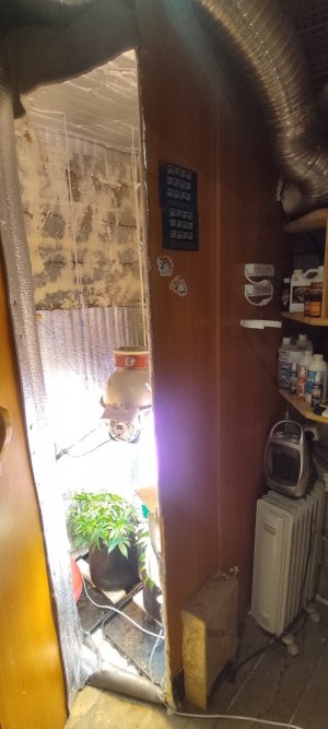 IMG_20230812_231828.jpg