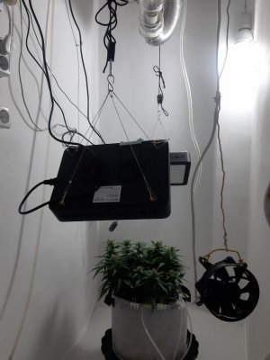20230814_225246.jpg
