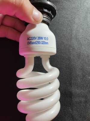 6D688807-CC4C-4CF5-B80F-951642975CC2.jpeg