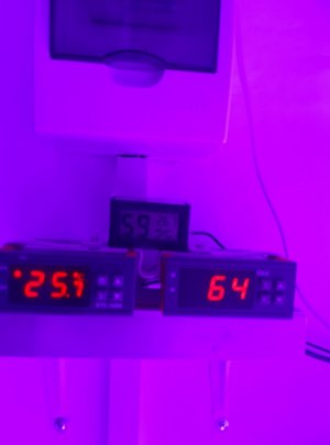 20230827_223958.jpg