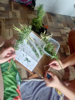 IMG20231006130911.jpg