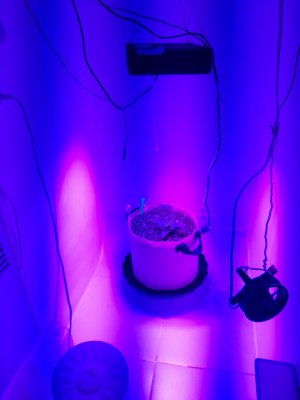 20231015_090013.jpg 20231015_090013.jpg