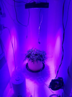 20231017_210625.jpg 20231017_210625.jpg