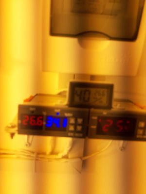 20220127_092238.jpg
