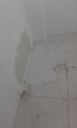 20231104_120547.jpg