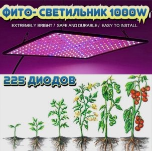 Screenshot_20240130-001435_OZON.jpg