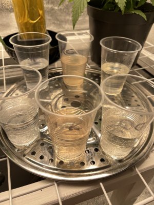 IMG_9174.jpeg