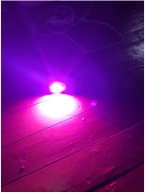 2.png 2.png