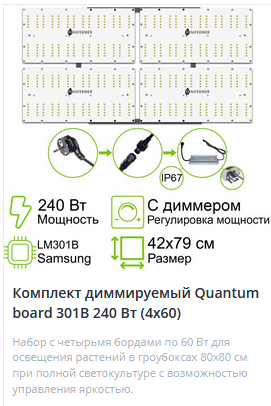 1711091767684.png