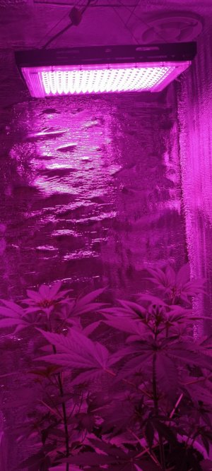 IMG_20240407_022133.jpg