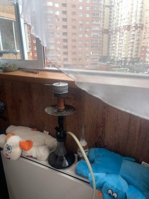 IMG_4670.jpeg