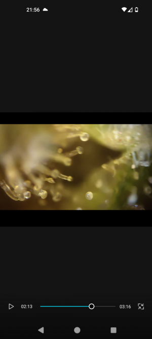 Screenshot_20240509-215638.png