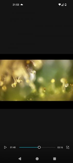 Screenshot_20240509-215312.png
